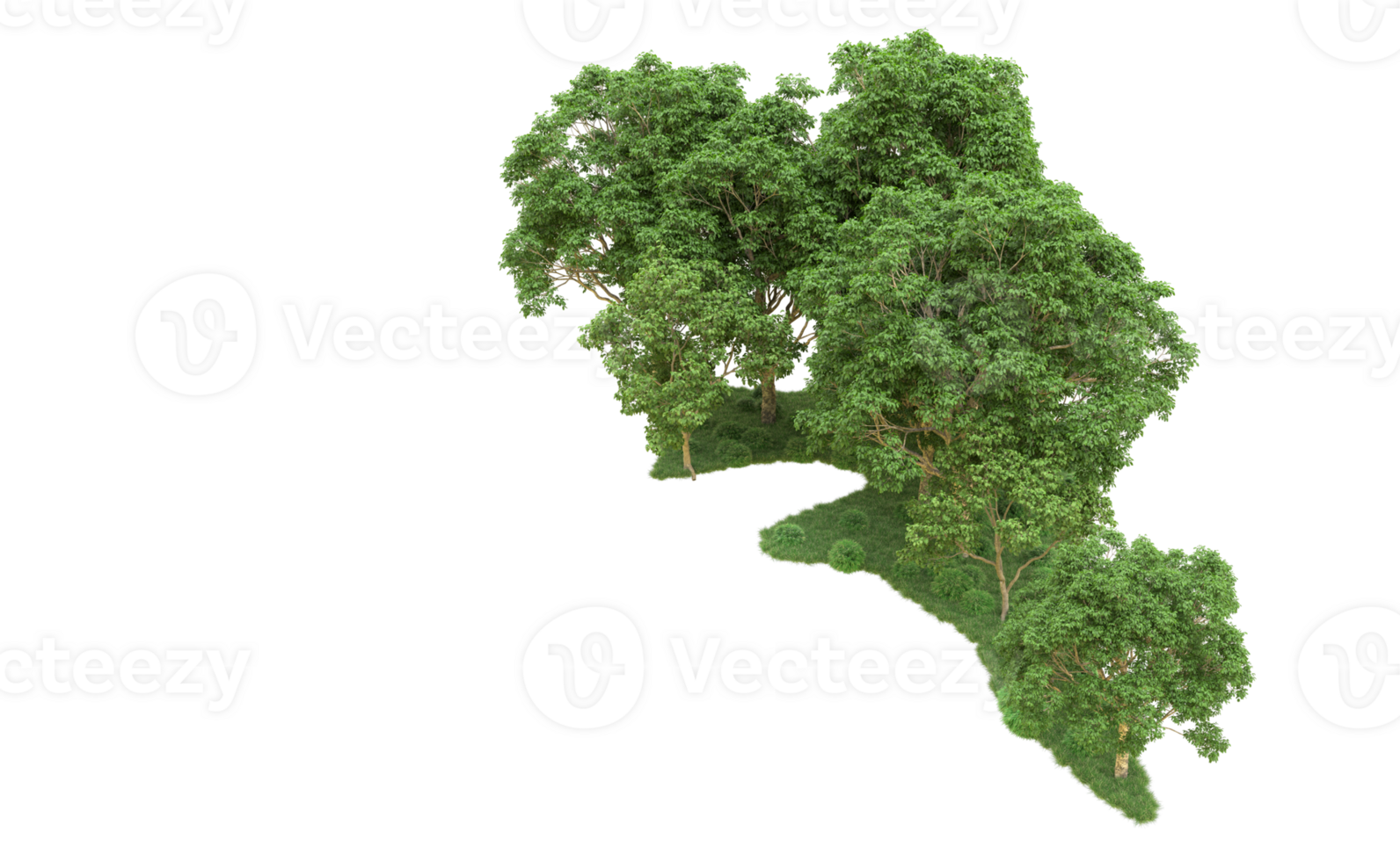Green forest isolated on background. 3d rendering - illustration png