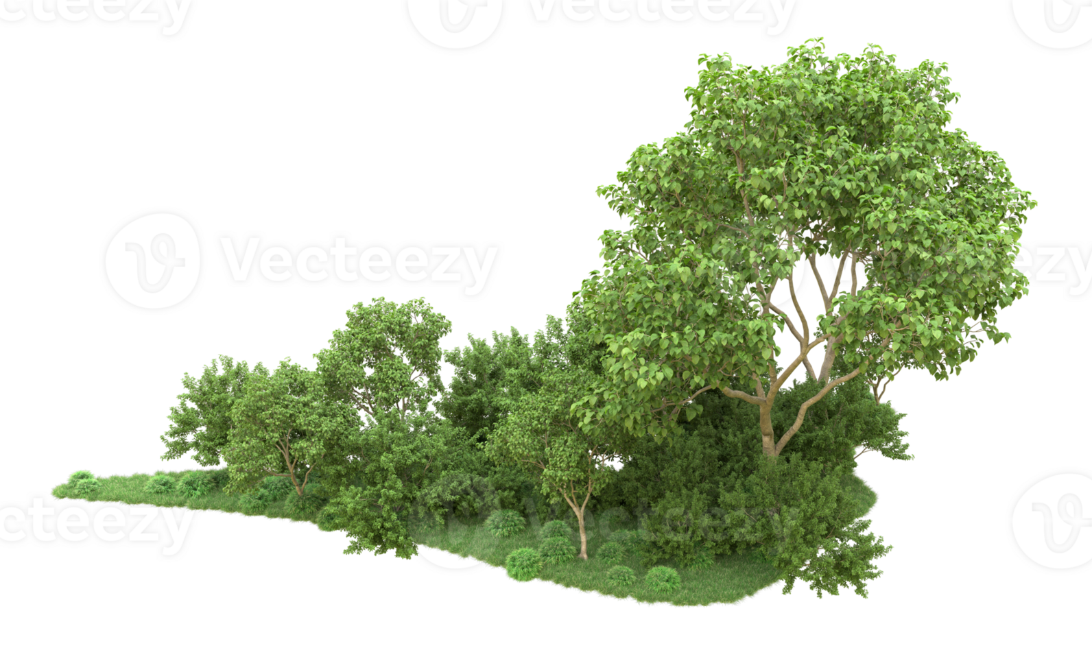 Green forest isolated on background. 3d rendering - illustration png