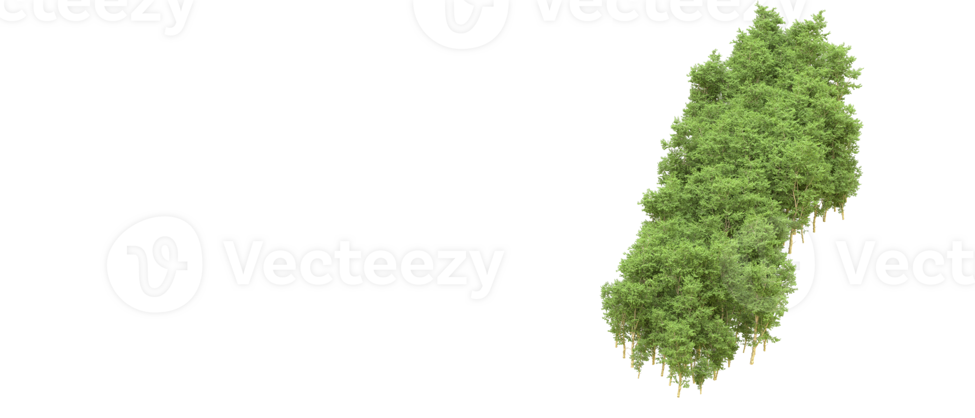 Green forest isolated on background. 3d rendering - illustration png