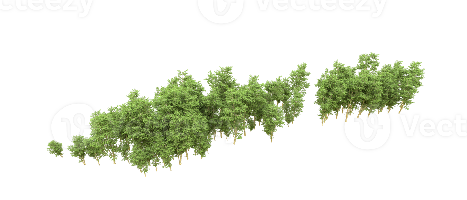 Green forest isolated on background. 3d rendering - illustration png