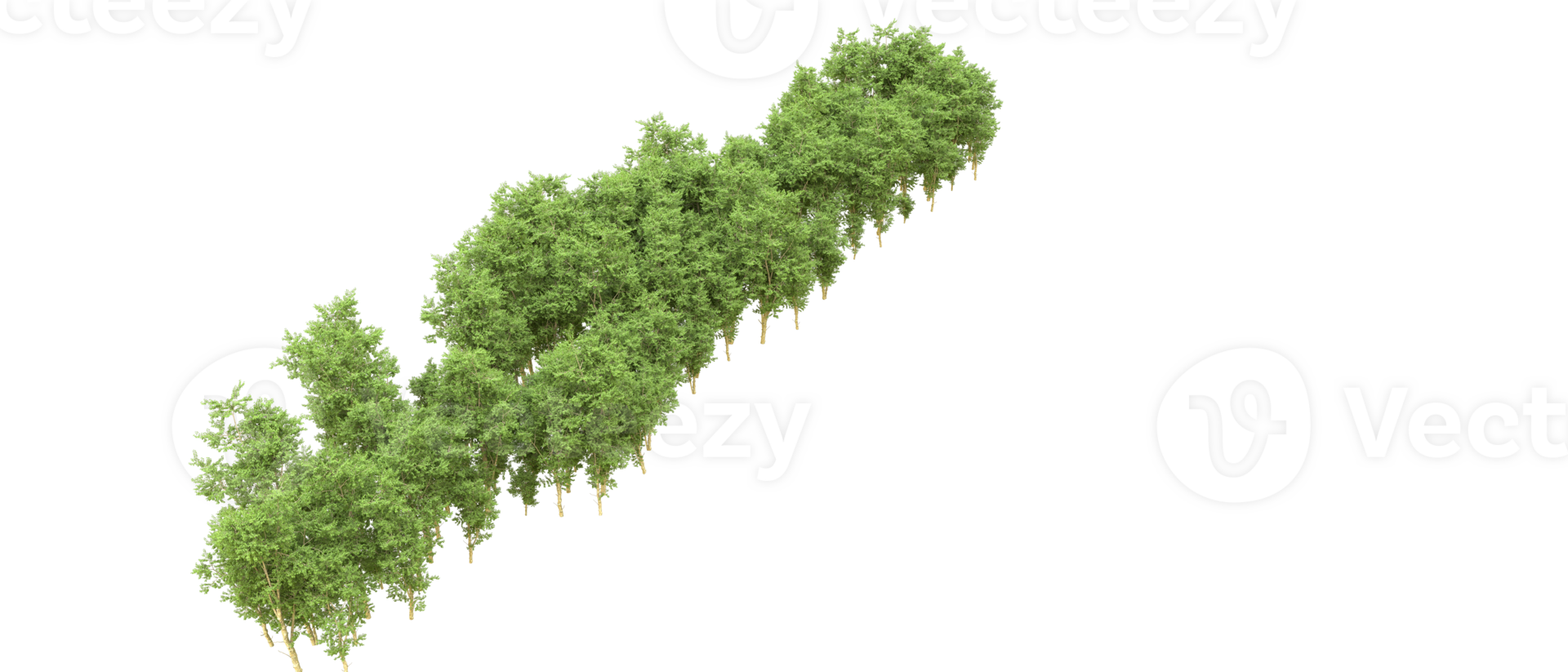 Green forest isolated on background. 3d rendering - illustration png