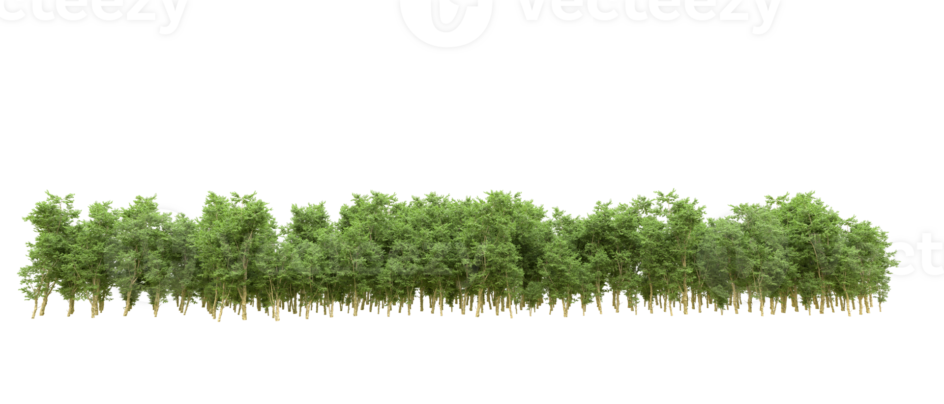 Green forest isolated on background. 3d rendering - illustration png