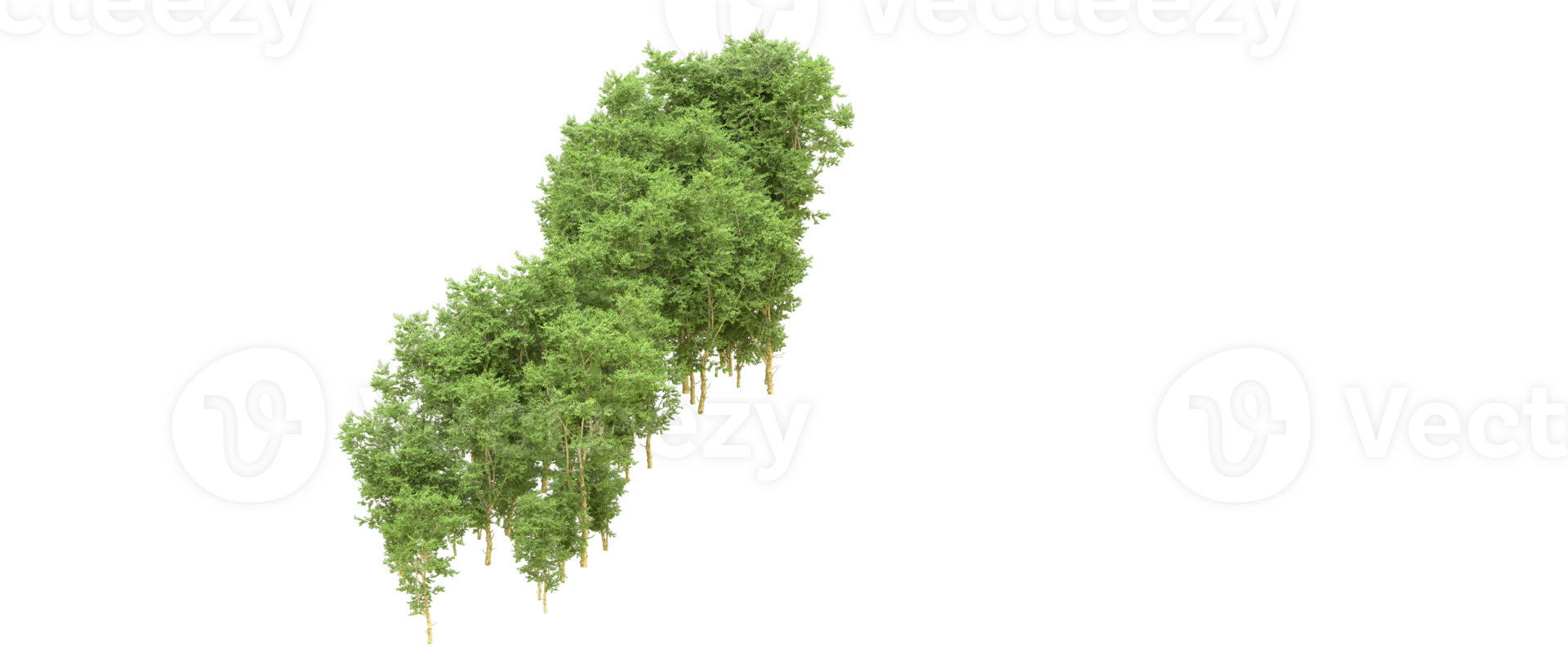 Green forest isolated on background. 3d rendering - illustration png
