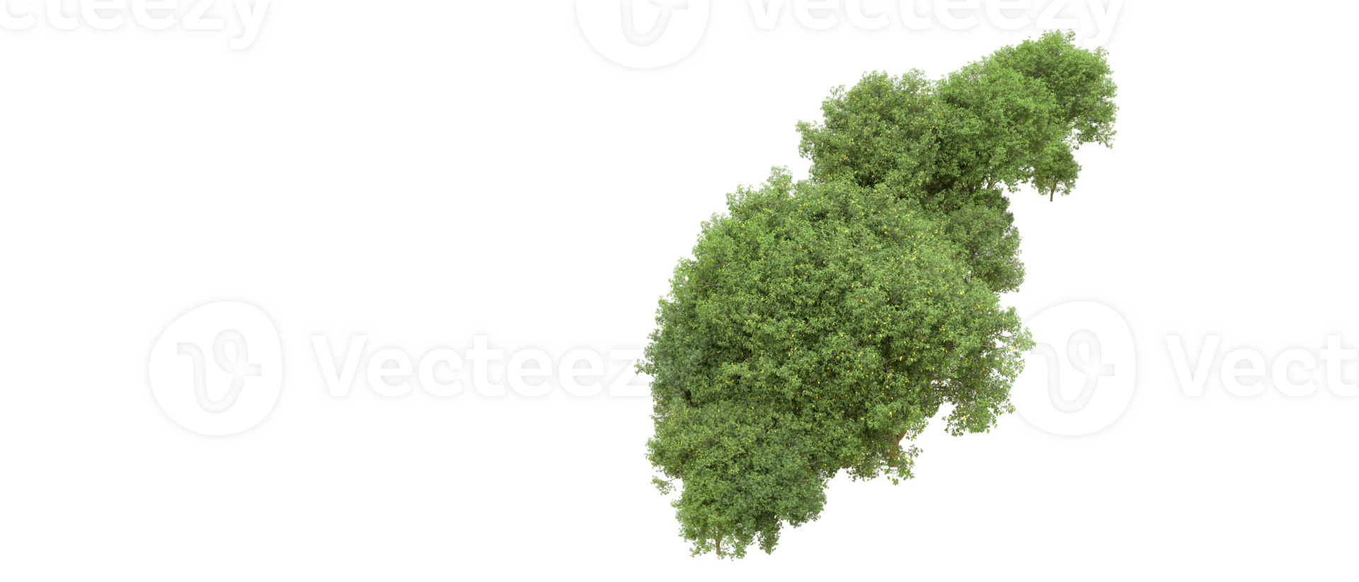 Green forest isolated on background. 3d rendering - illustration png