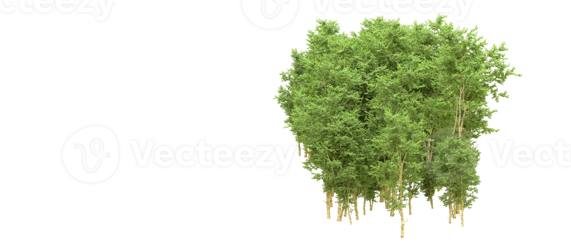 Green forest isolated on background. 3d rendering - illustration png