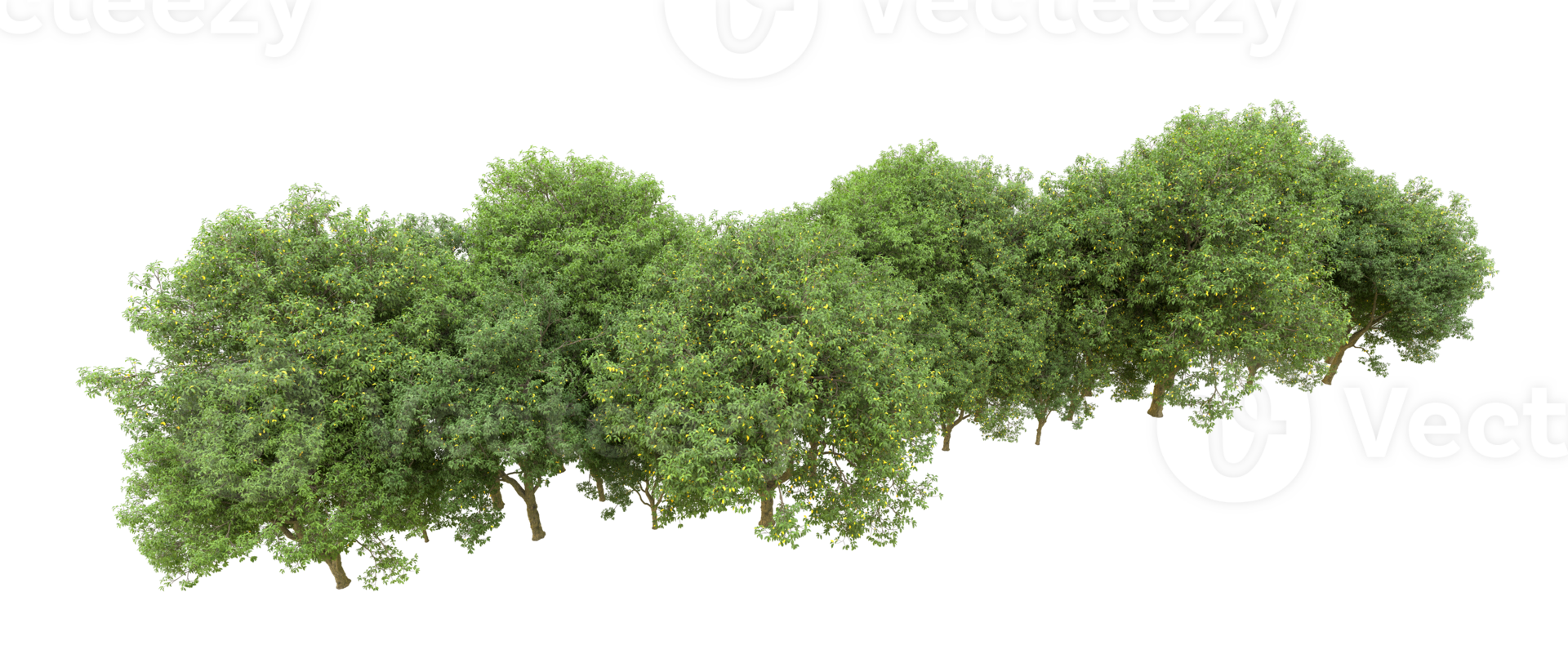 Green forest isolated on background. 3d rendering - illustration png