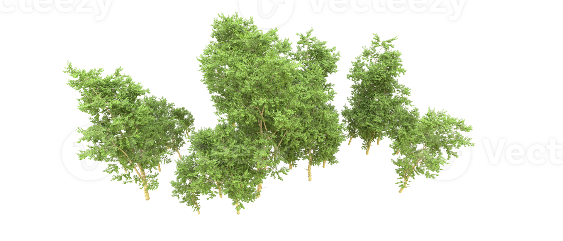 Green forest isolated on background. 3d rendering - illustration png