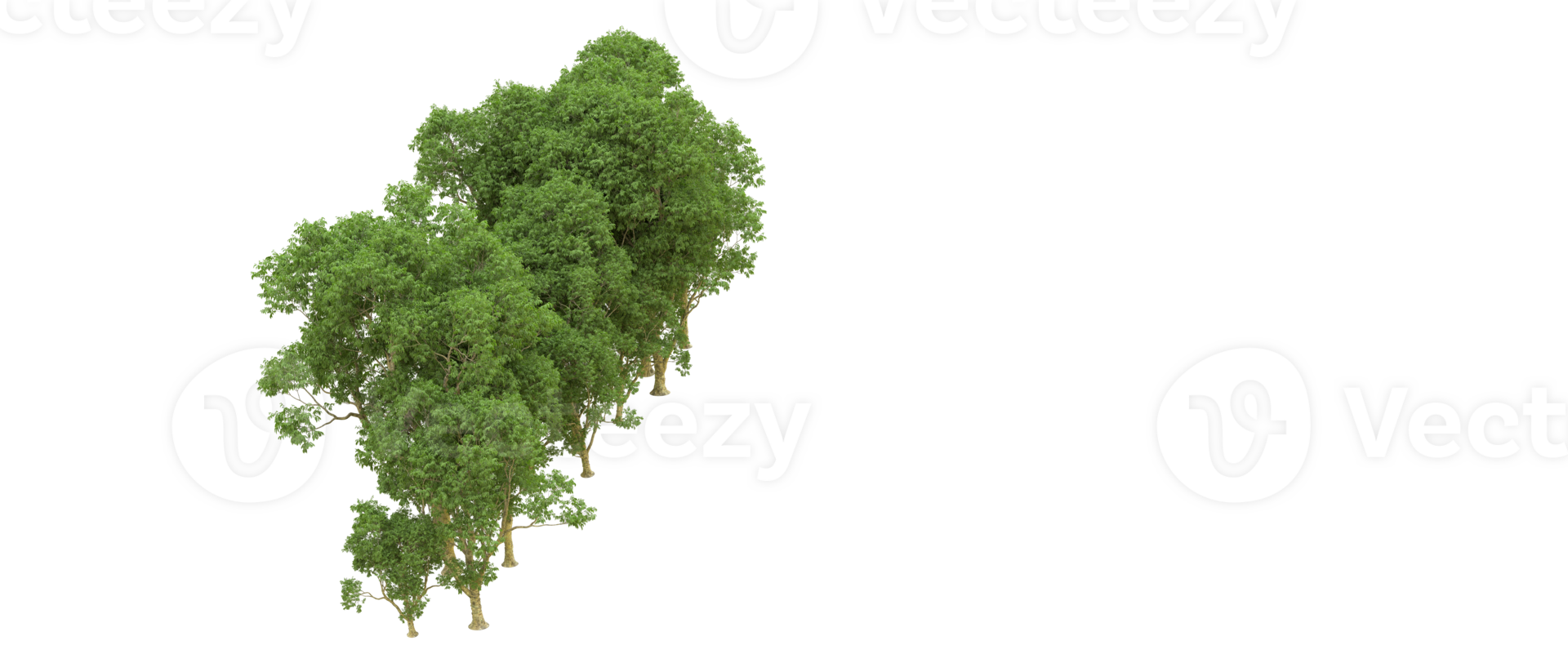 Green forest isolated on background. 3d rendering - illustration png