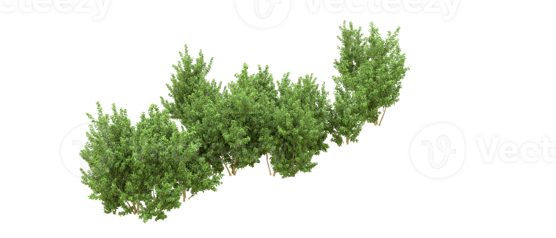 Grün Wald isoliert auf Hintergrund. 3d Rendern - - Illustration png