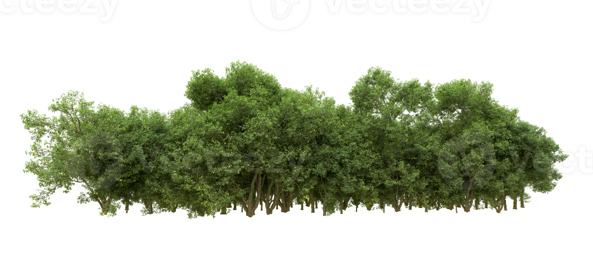 vert forêt isolé sur Contexte. 3d le rendu - illustration png