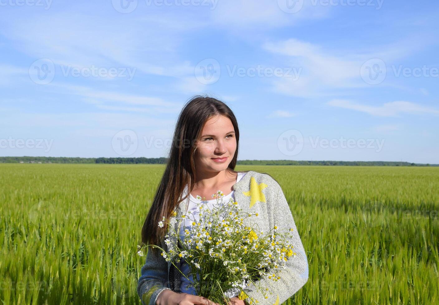 Young beautiful girl with a bouquet of chamomiles. A woman in a barley field photo