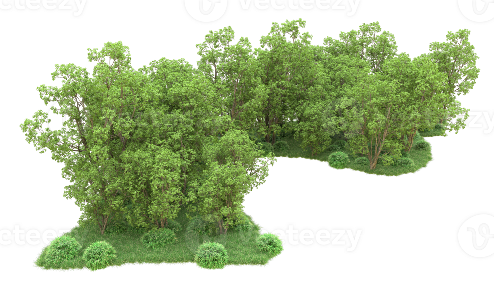 Green forest isolated on background. 3d rendering - illustration png