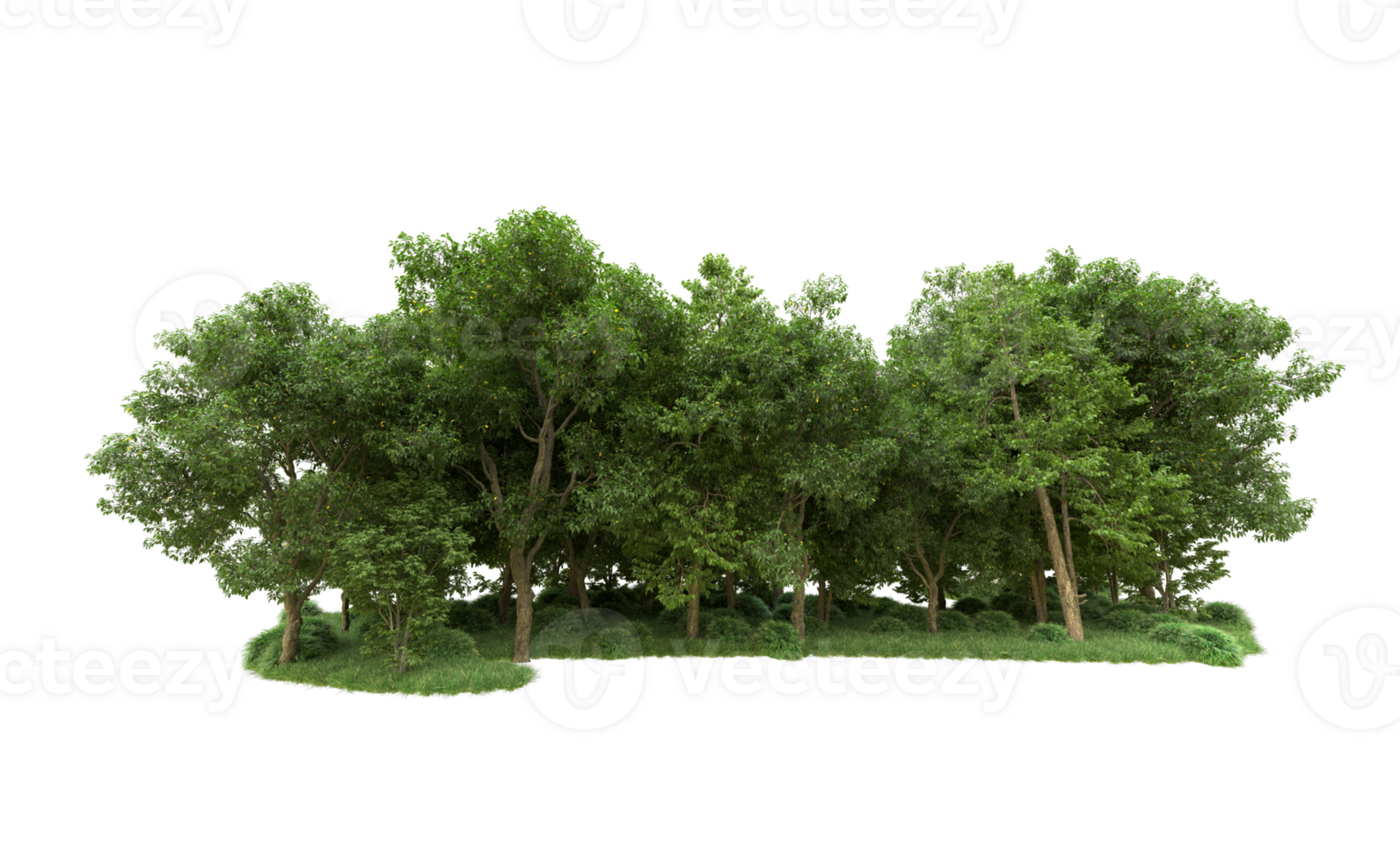 Green forest isolated on background. 3d rendering - illustration png