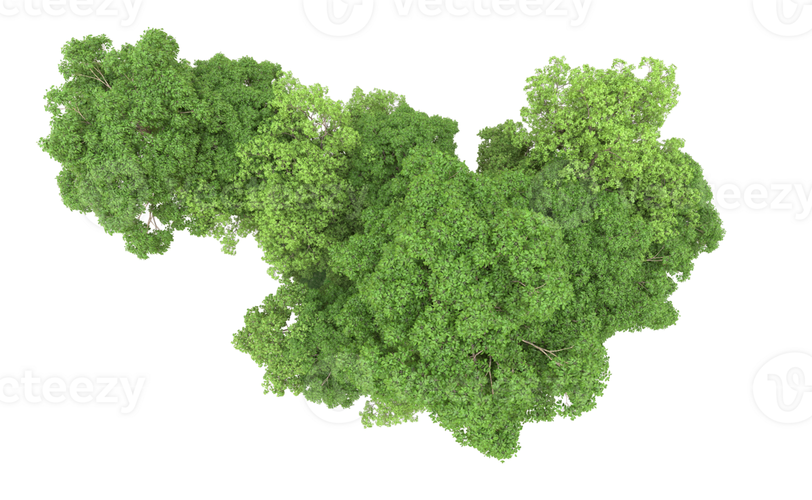 Green forest isolated on background. 3d rendering - illustration png