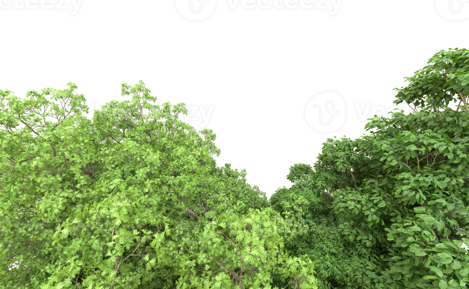 Green forest isolated on background. 3d rendering - illustration png