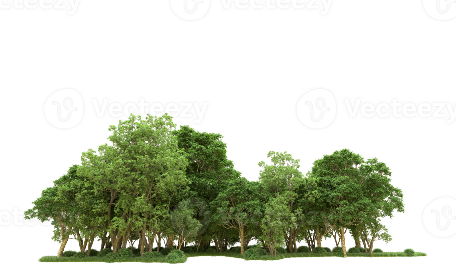 Green forest isolated on background. 3d rendering - illustration png