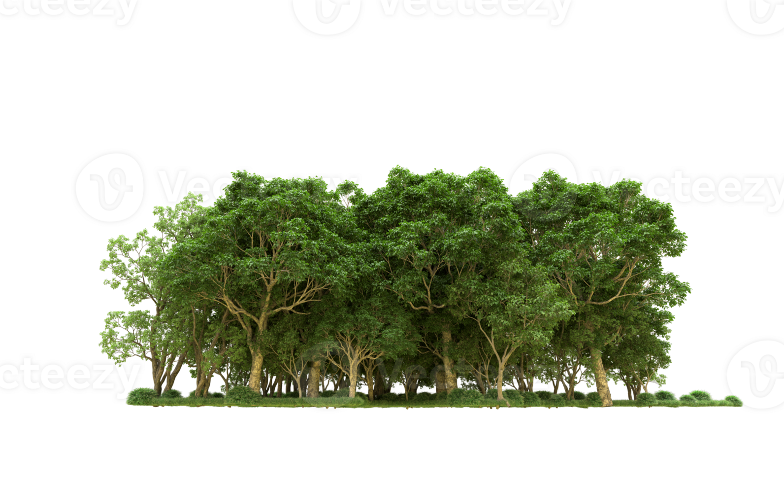 Green forest isolated on background. 3d rendering - illustration png