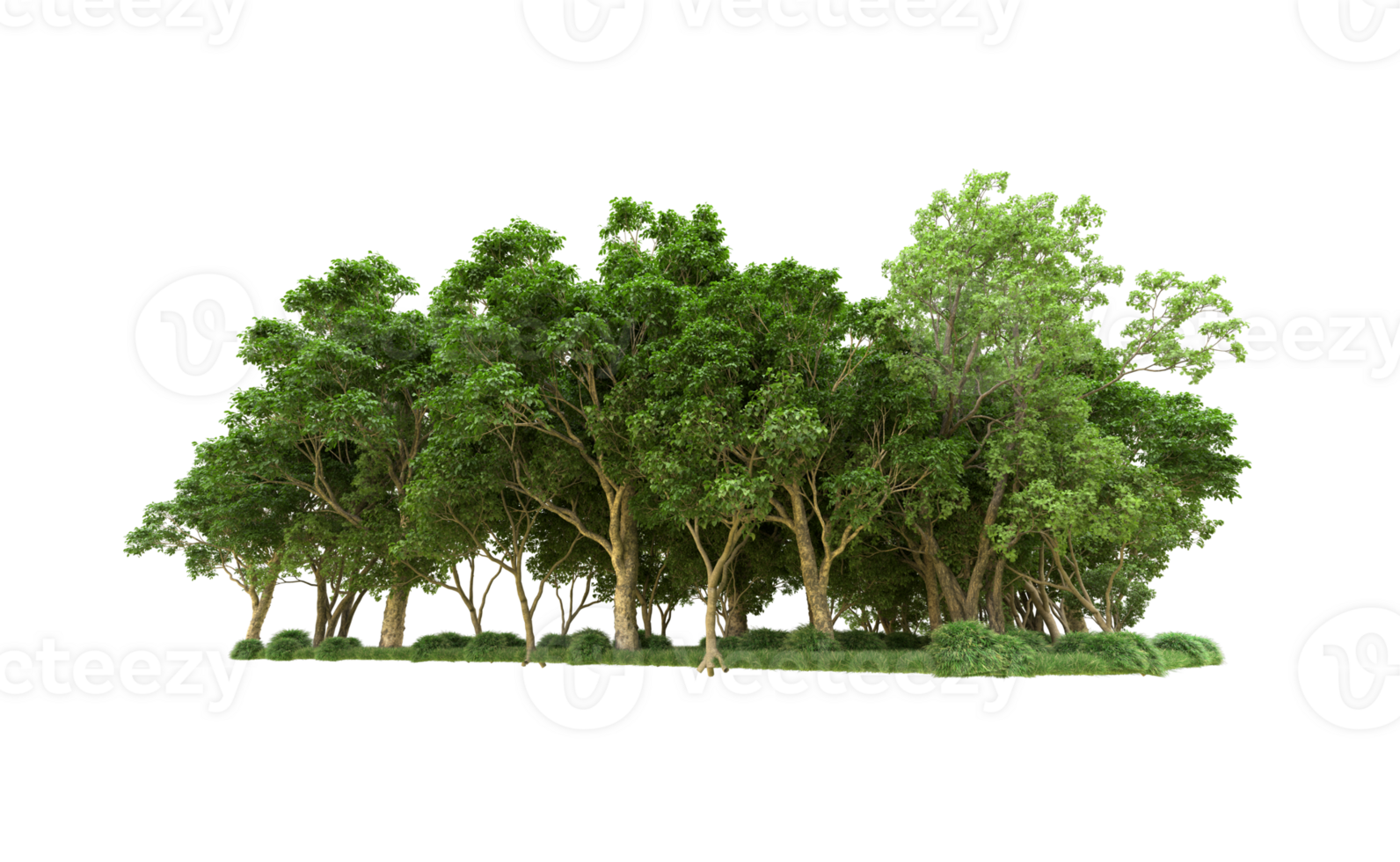 Green forest isolated on background. 3d rendering - illustration png
