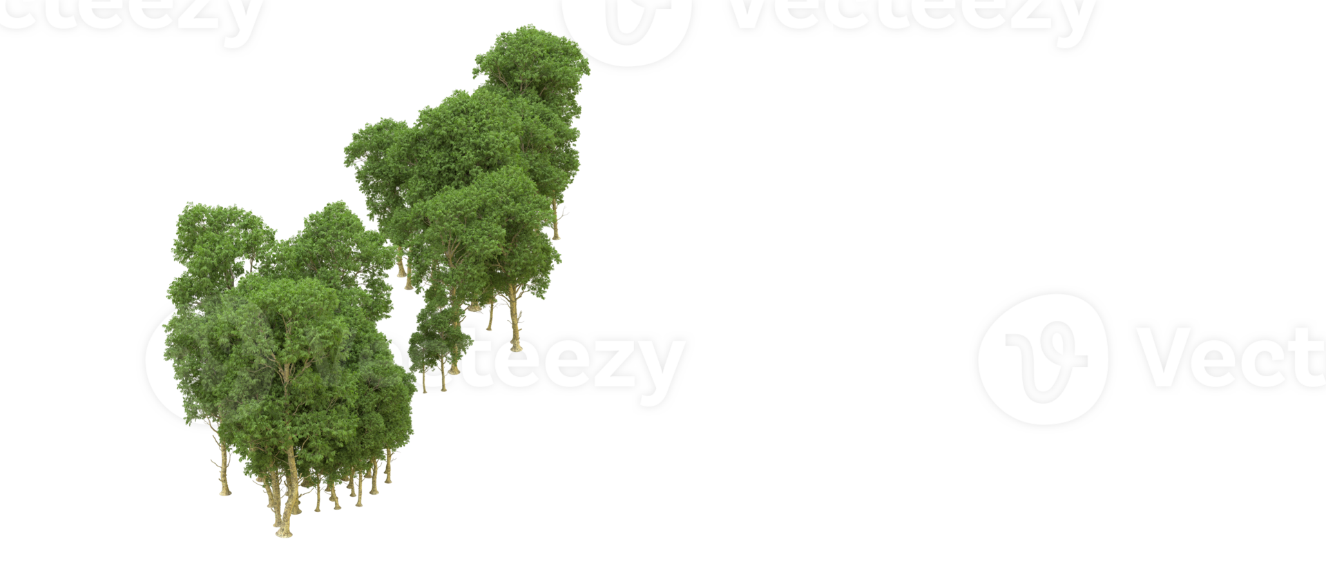 Green forest isolated on background. 3d rendering - illustration png