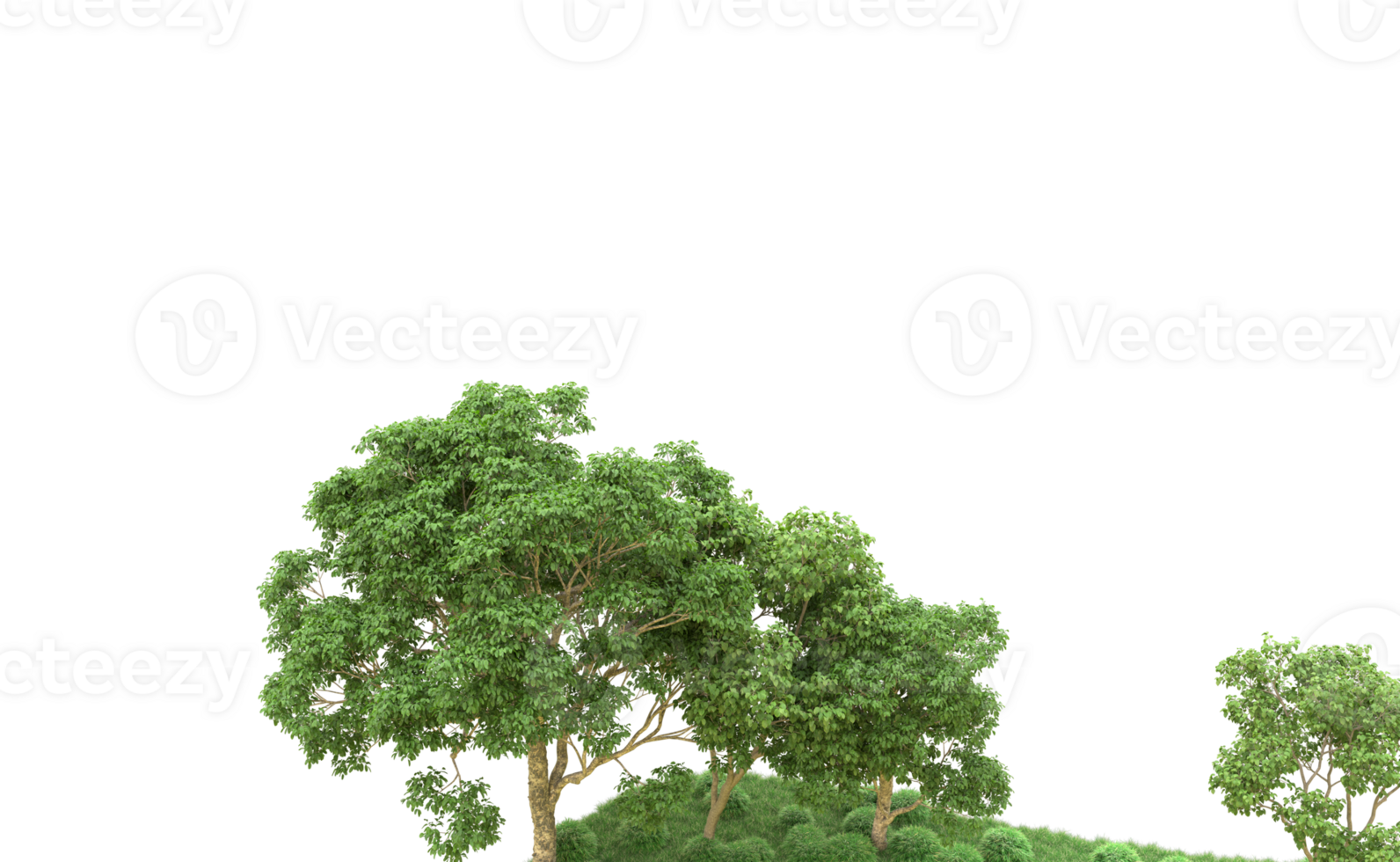 Green forest isolated on background. 3d rendering - illustration png