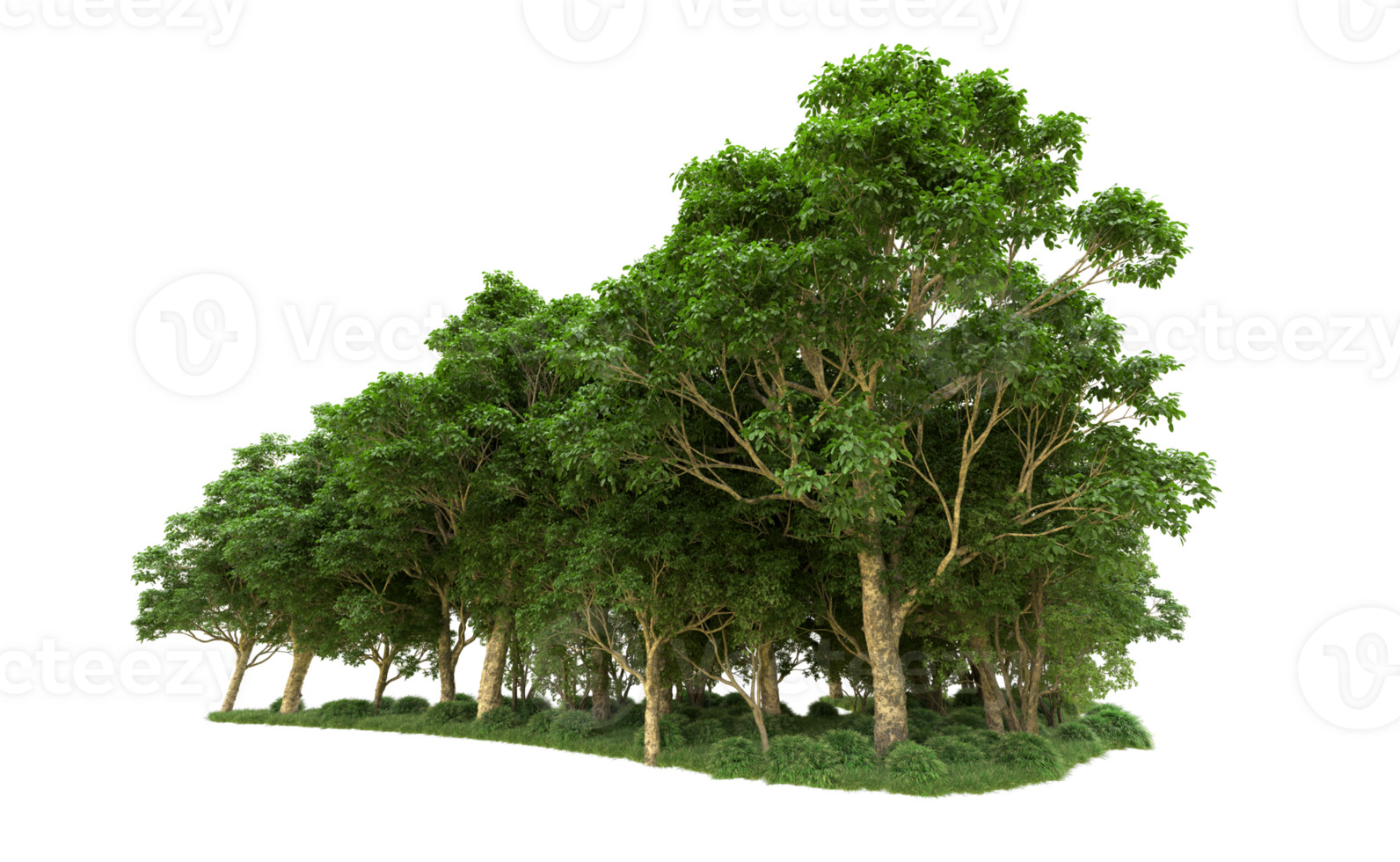 Green forest isolated on background. 3d rendering - illustration png
