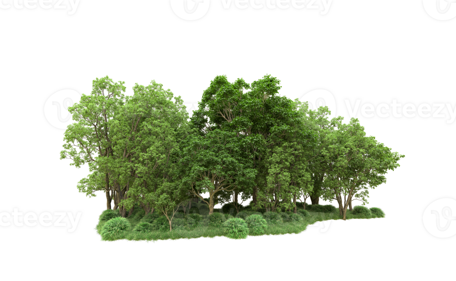 Green forest isolated on background. 3d rendering - illustration png
