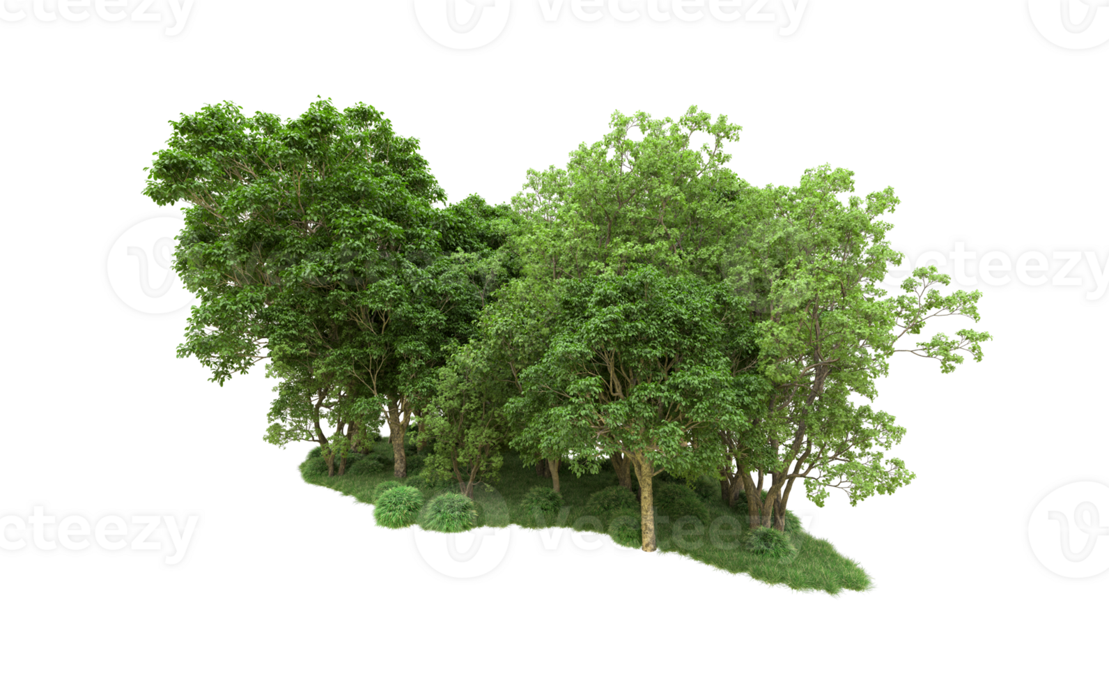 Green forest isolated on background. 3d rendering - illustration png