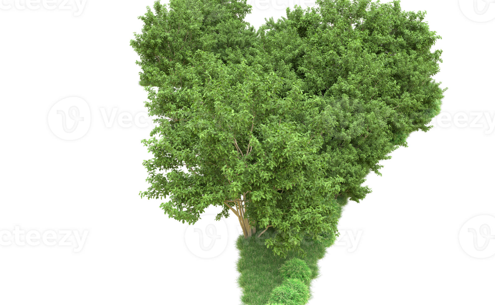 Green forest isolated on background. 3d rendering - illustration png