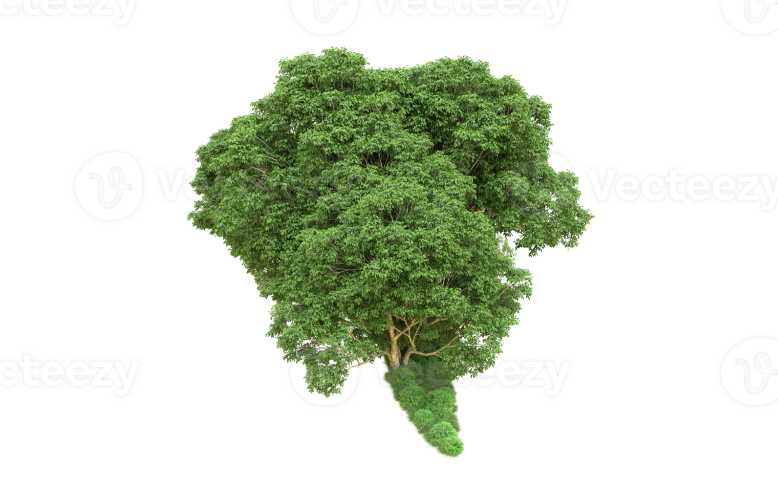 Green forest isolated on background. 3d rendering - illustration png