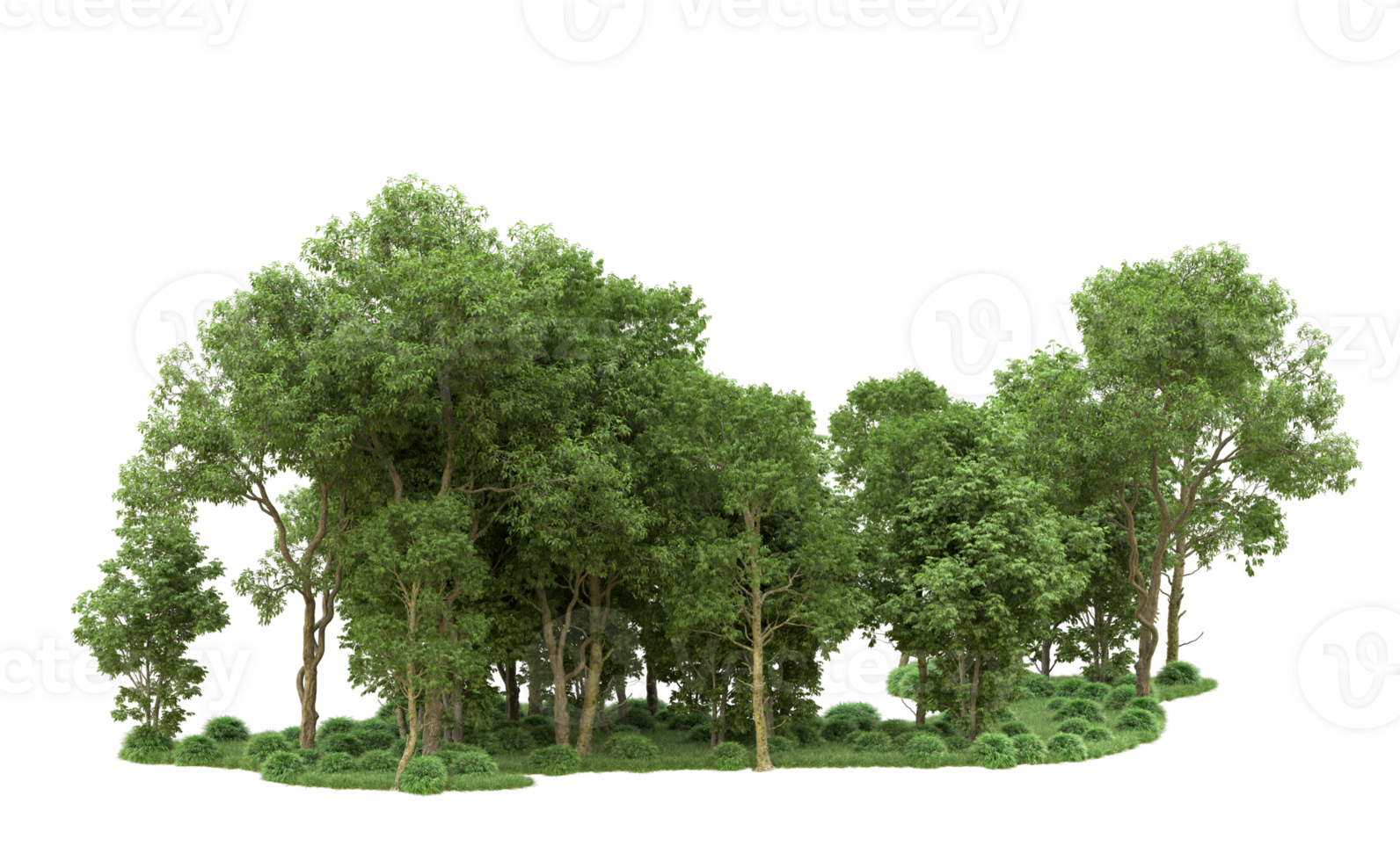 Green forest isolated on background. 3d rendering - illustration png