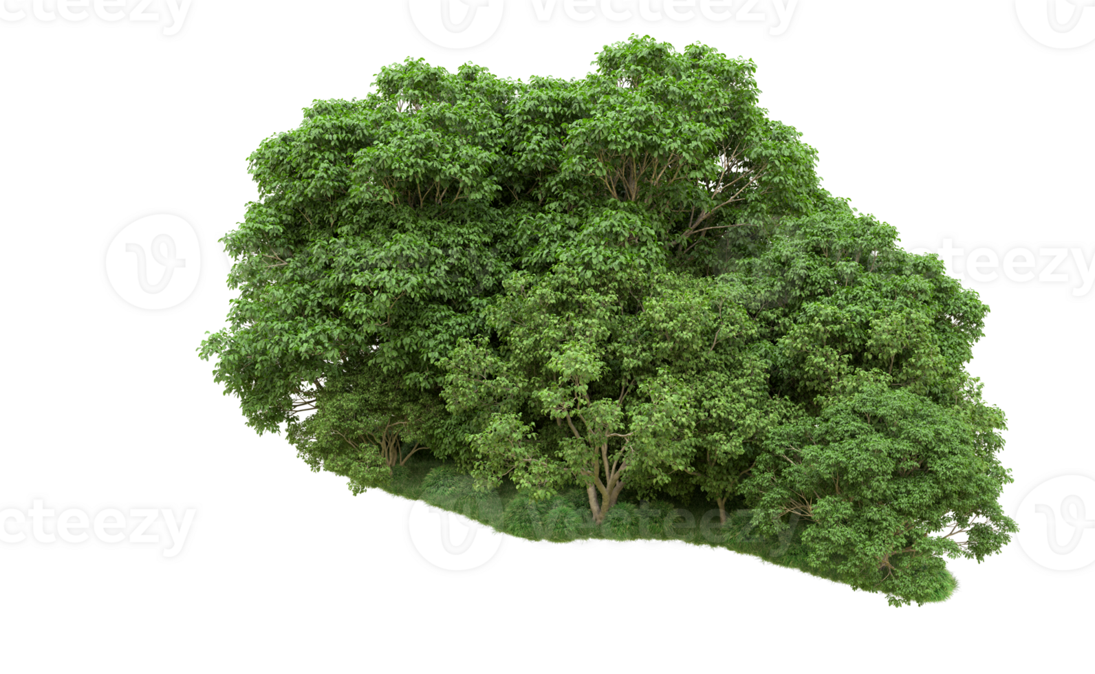 Green forest isolated on background. 3d rendering - illustration png