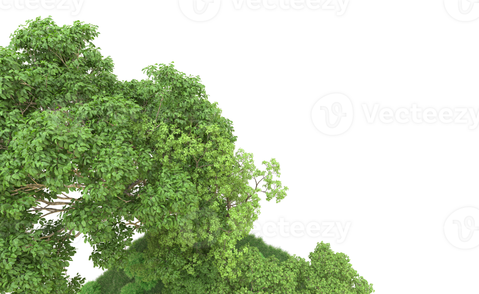 Green forest isolated on background. 3d rendering - illustration png