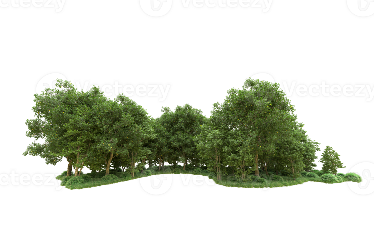 Green forest isolated on background. 3d rendering - illustration png
