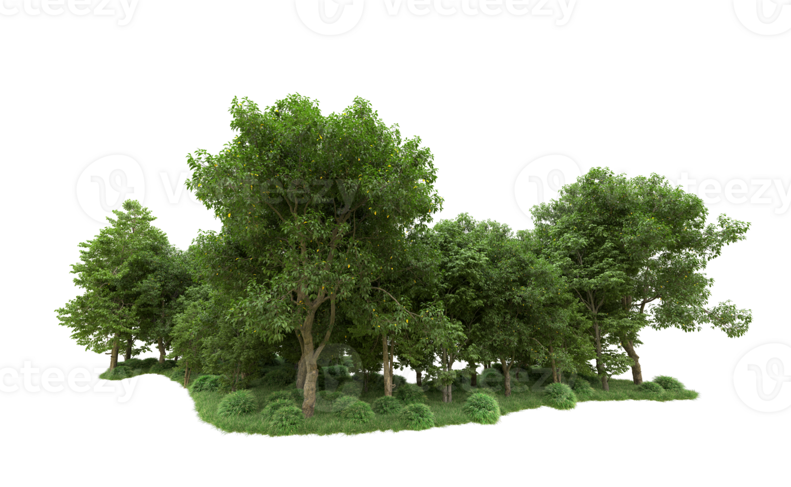 Green forest isolated on background. 3d rendering - illustration png