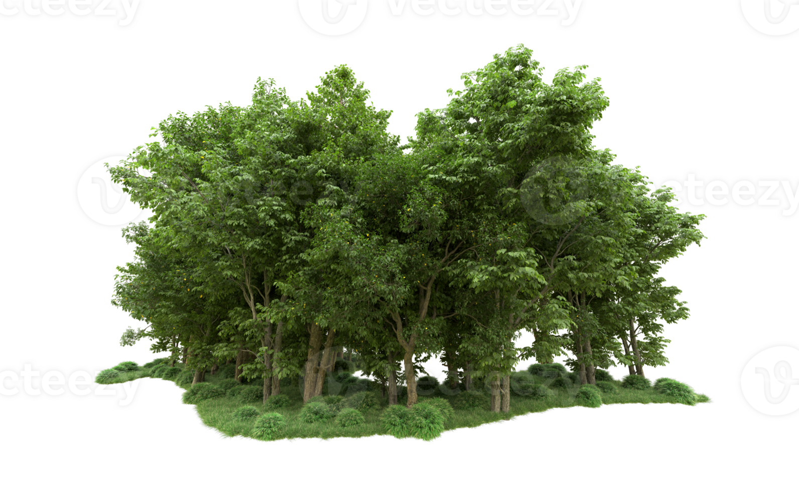Green forest isolated on background. 3d rendering - illustration png