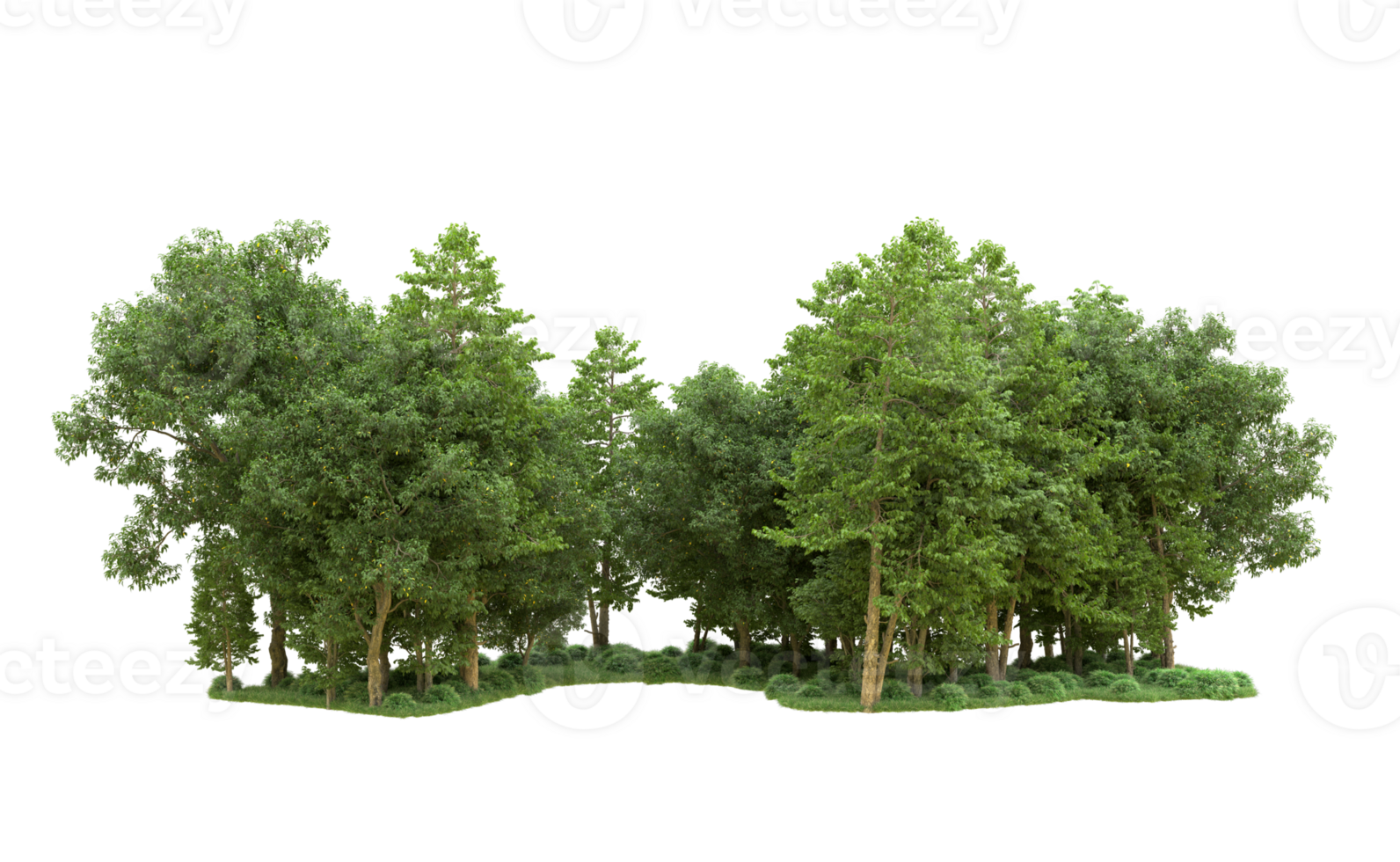 vert forêt isolé sur Contexte. 3d le rendu - illustration png