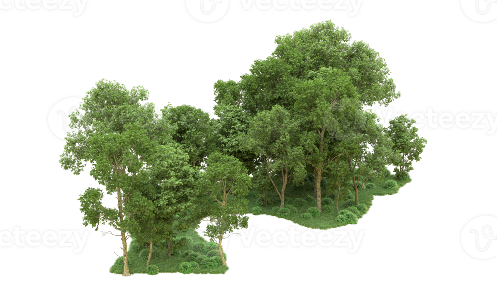 Green forest isolated on background. 3d rendering - illustration png