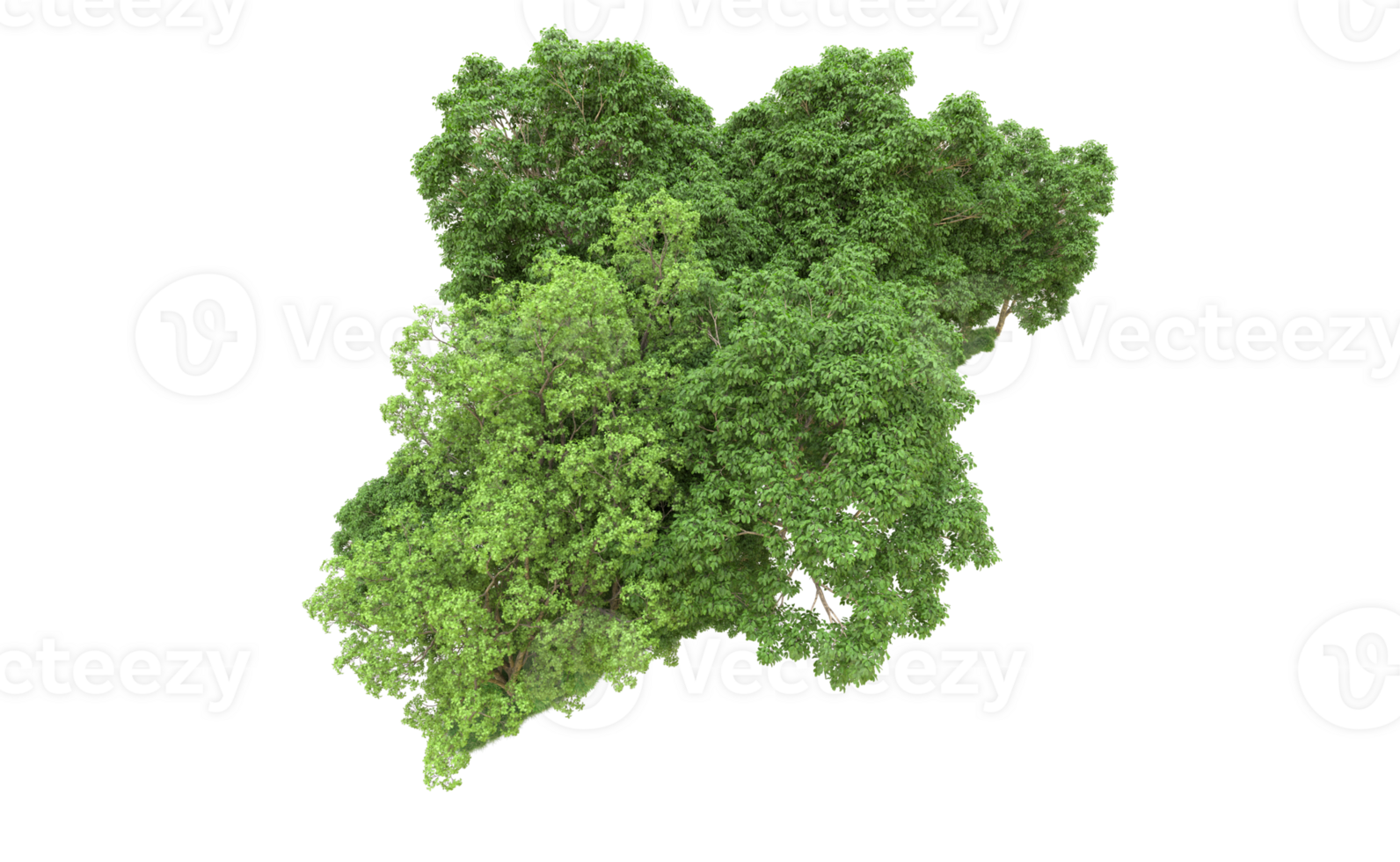 Green forest isolated on background. 3d rendering - illustration png