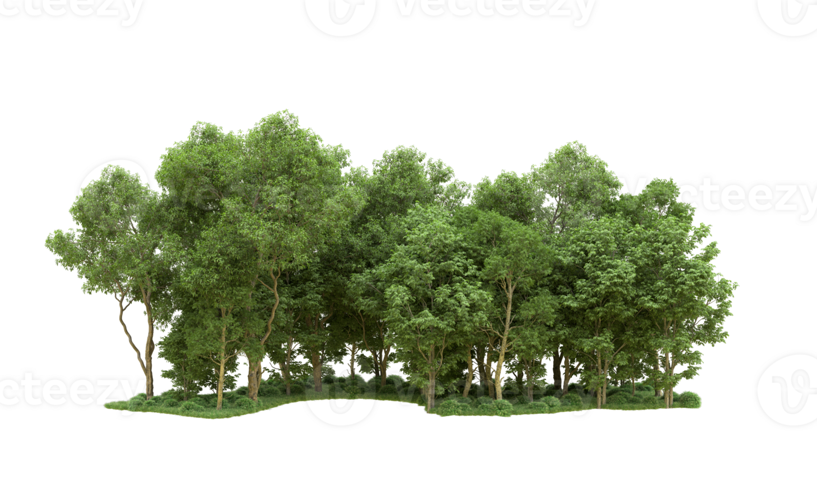 Green forest isolated on background. 3d rendering - illustration png