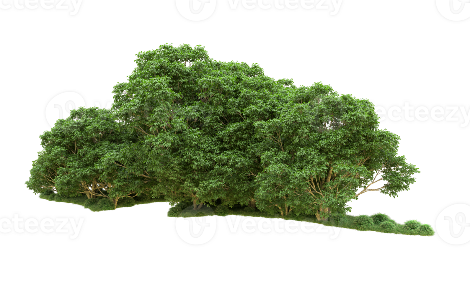 Green forest isolated on background. 3d rendering - illustration png