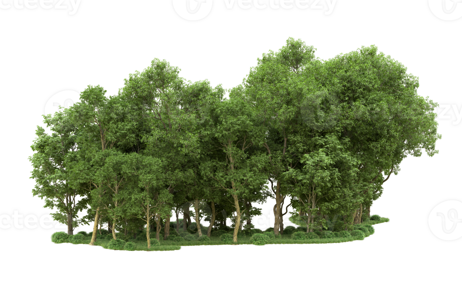 Green forest isolated on background. 3d rendering - illustration png
