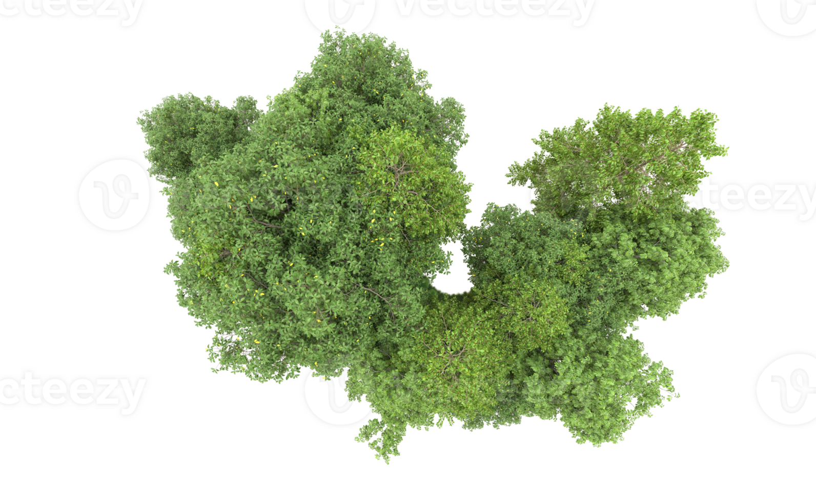 Green forest isolated on background. 3d rendering - illustration png