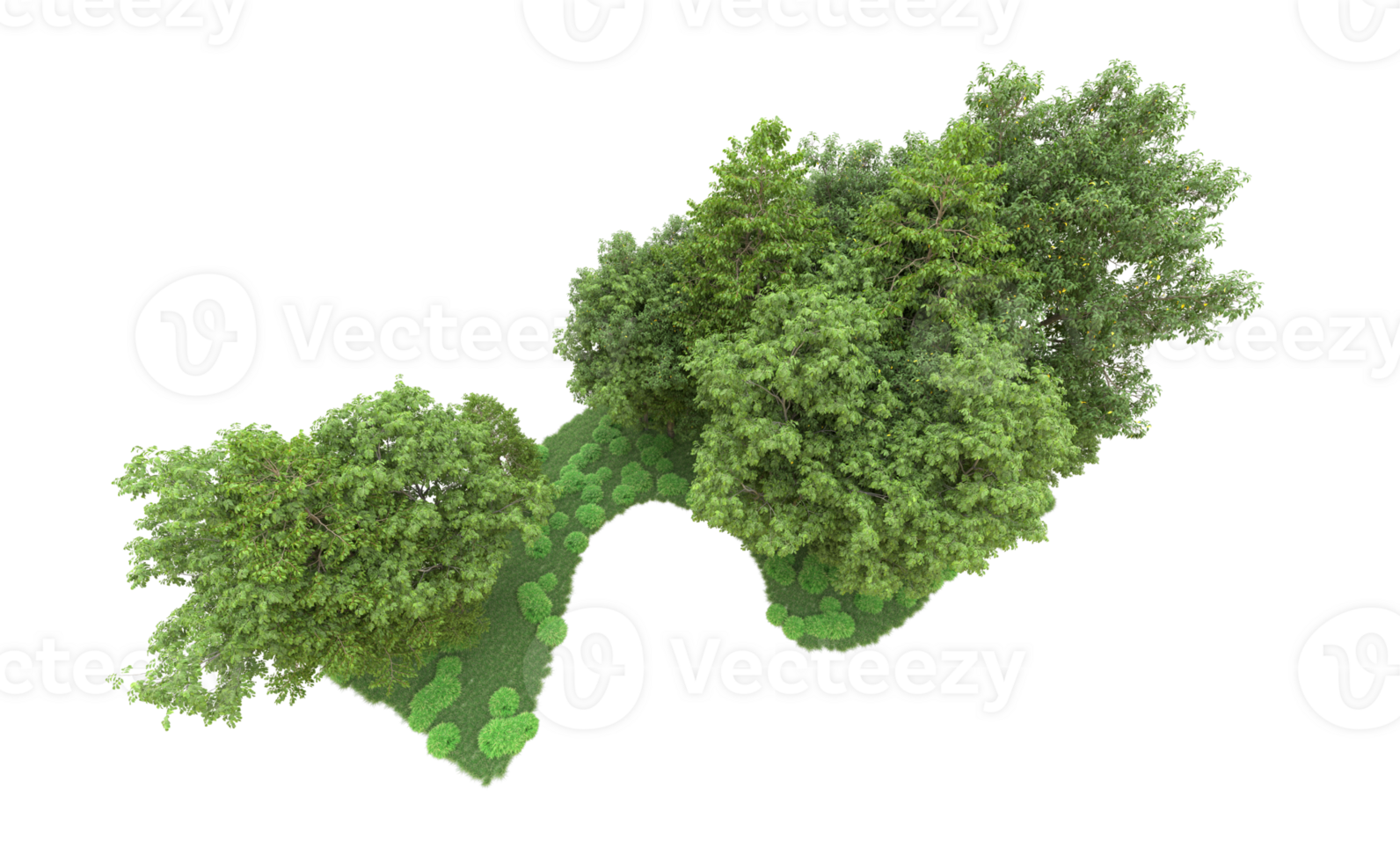 Green forest isolated on background. 3d rendering - illustration png