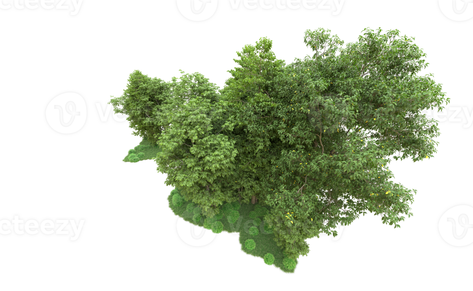 Green forest isolated on background. 3d rendering - illustration png