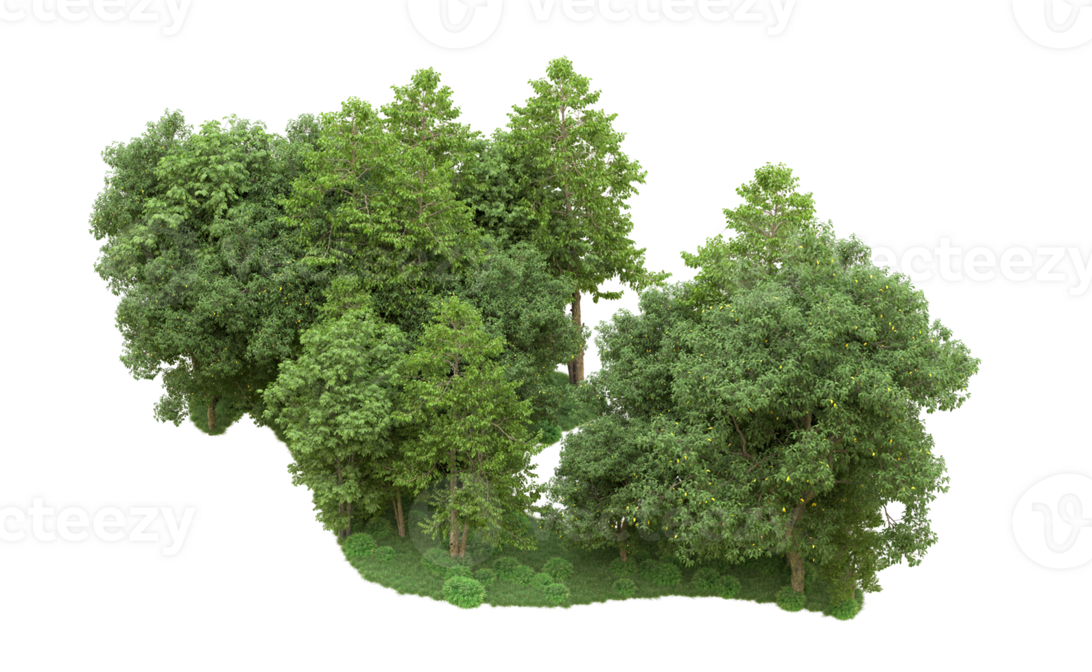 Green forest isolated on background. 3d rendering - illustration png