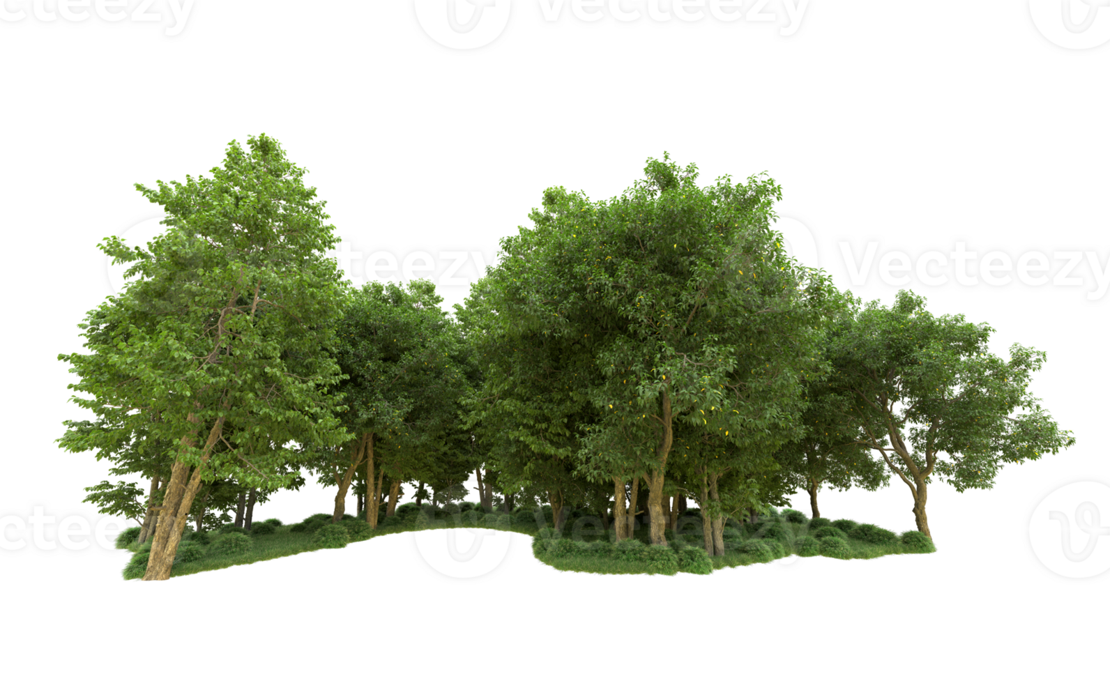 Green forest isolated on background. 3d rendering - illustration png