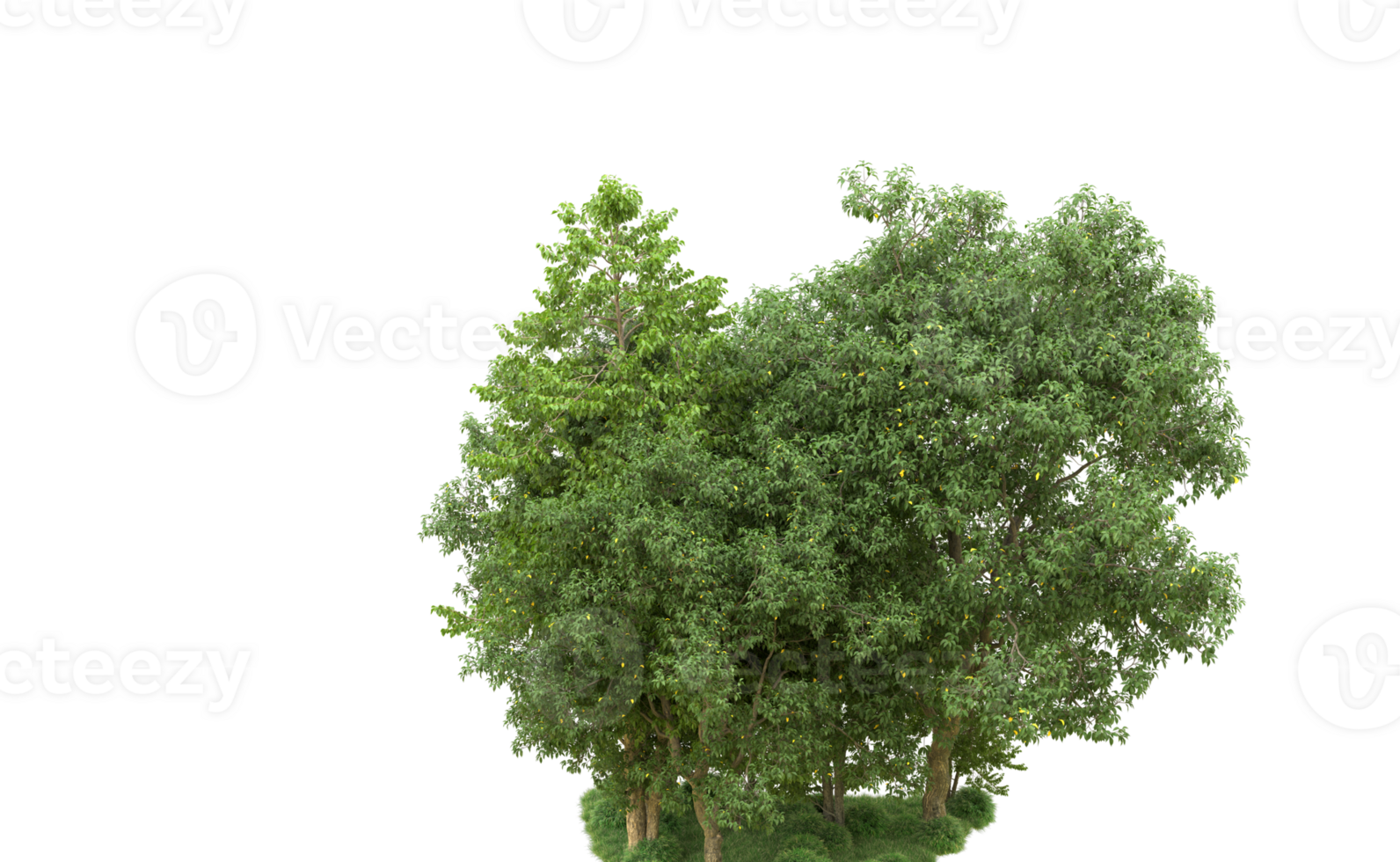 Green forest isolated on background. 3d rendering - illustration png