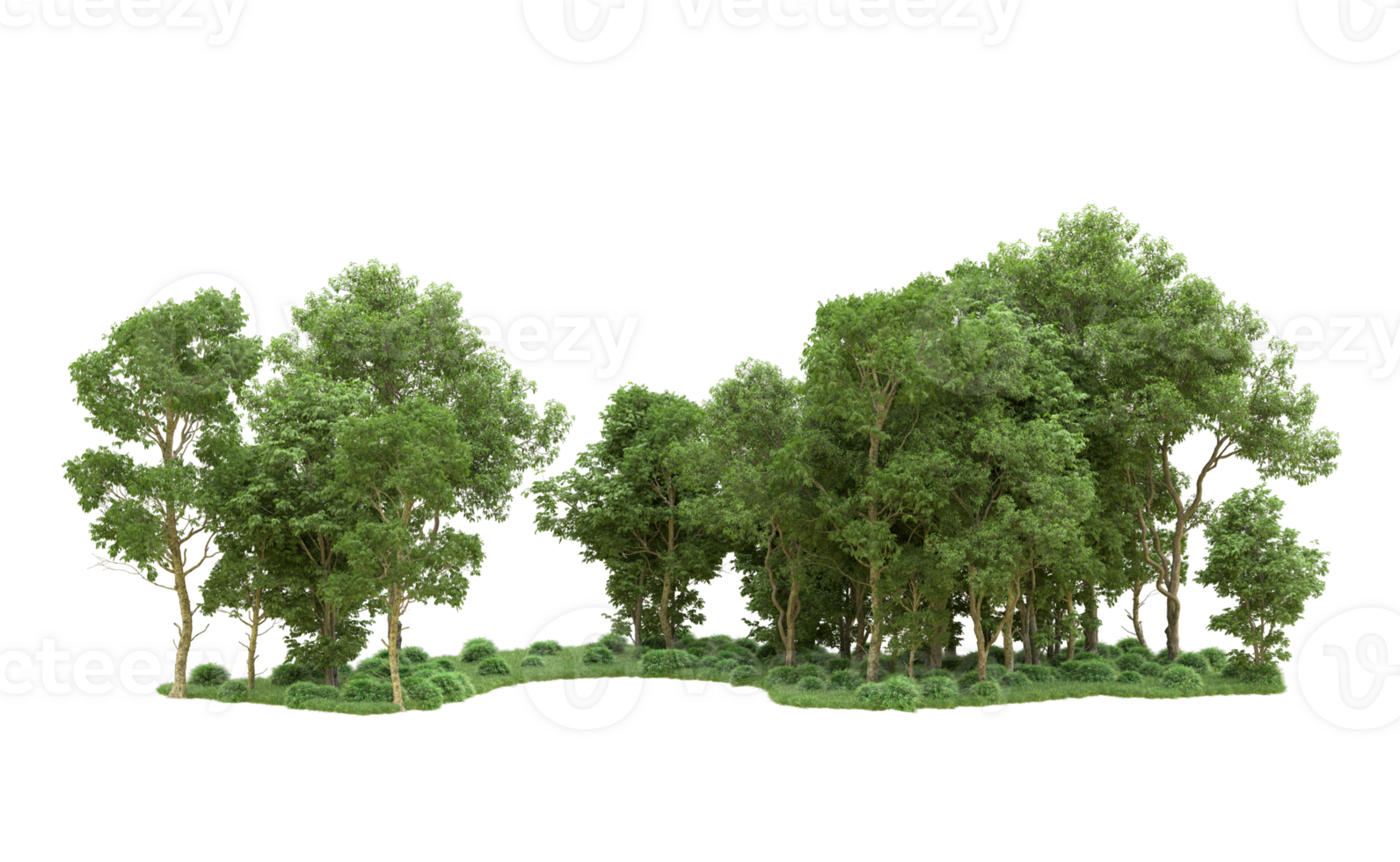 Green forest isolated on background. 3d rendering - illustration png