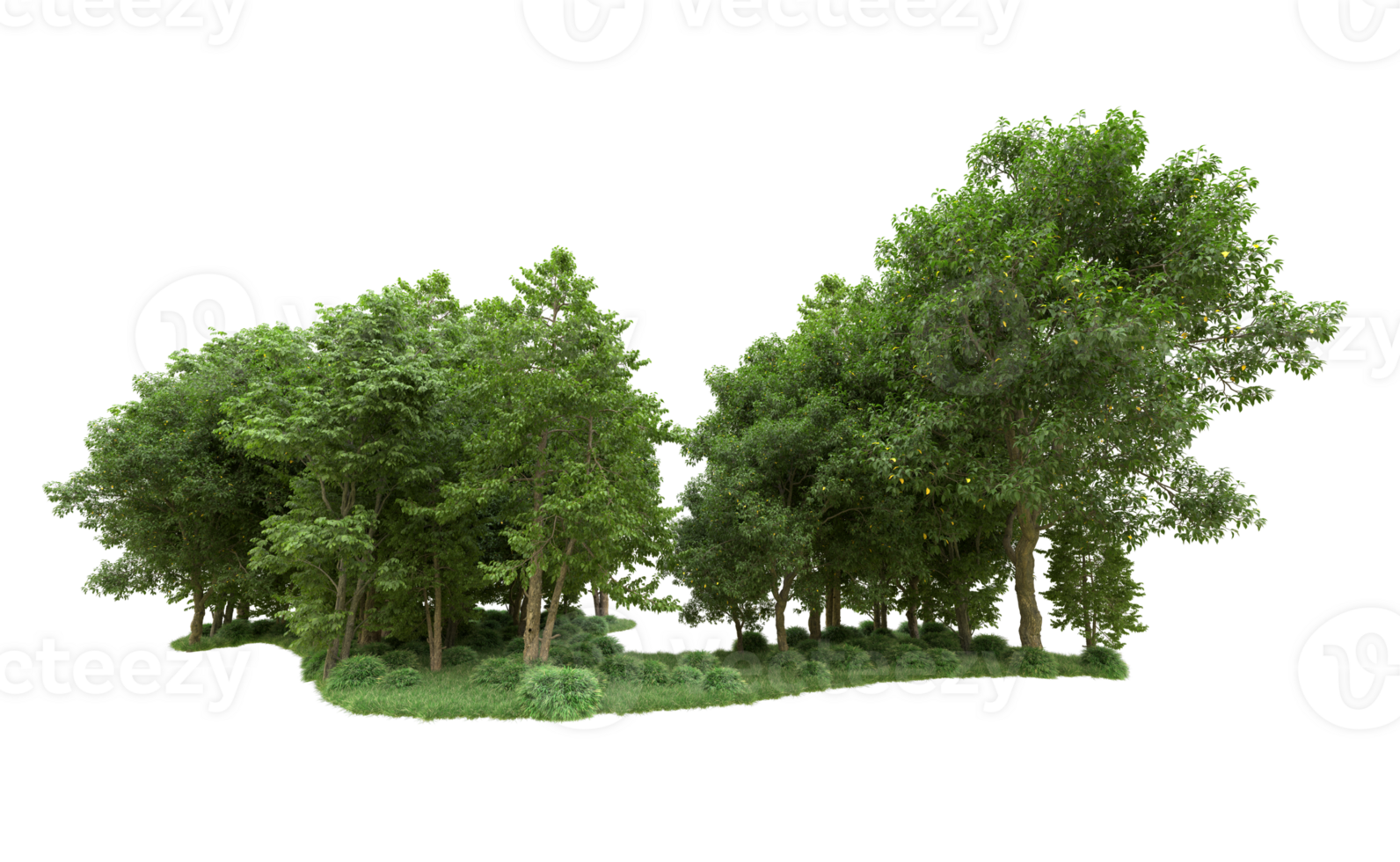 Green forest isolated on background. 3d rendering - illustration png