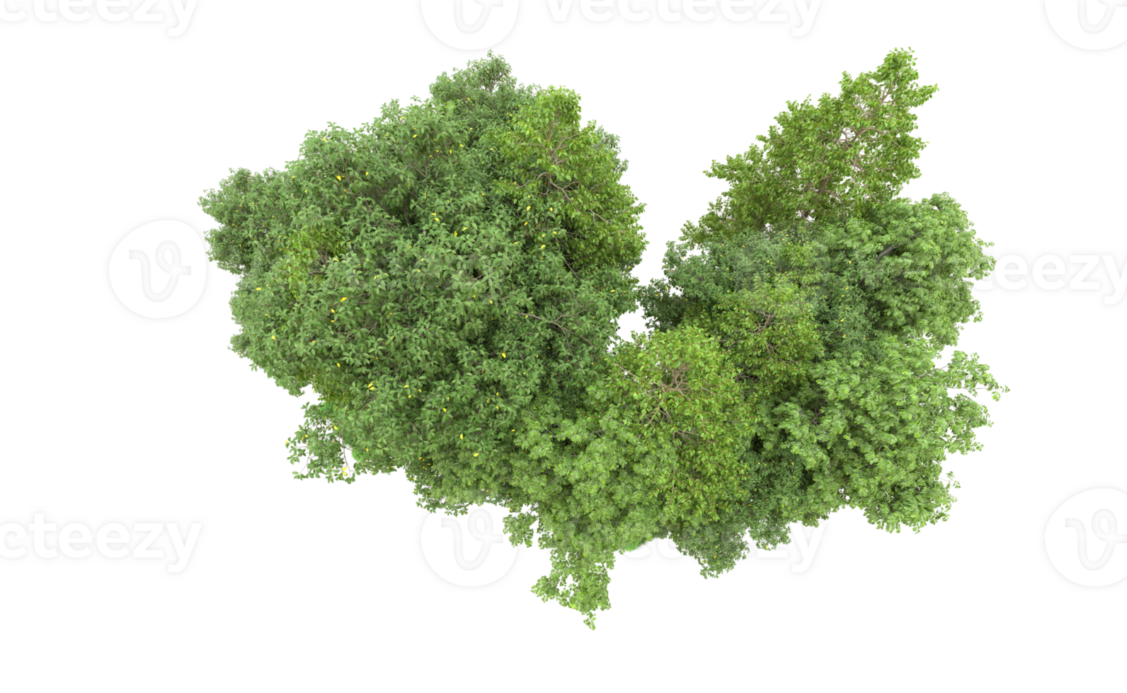 Green forest isolated on background. 3d rendering - illustration png